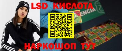 спиды Кимры