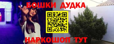 гидропоника Кингисепп