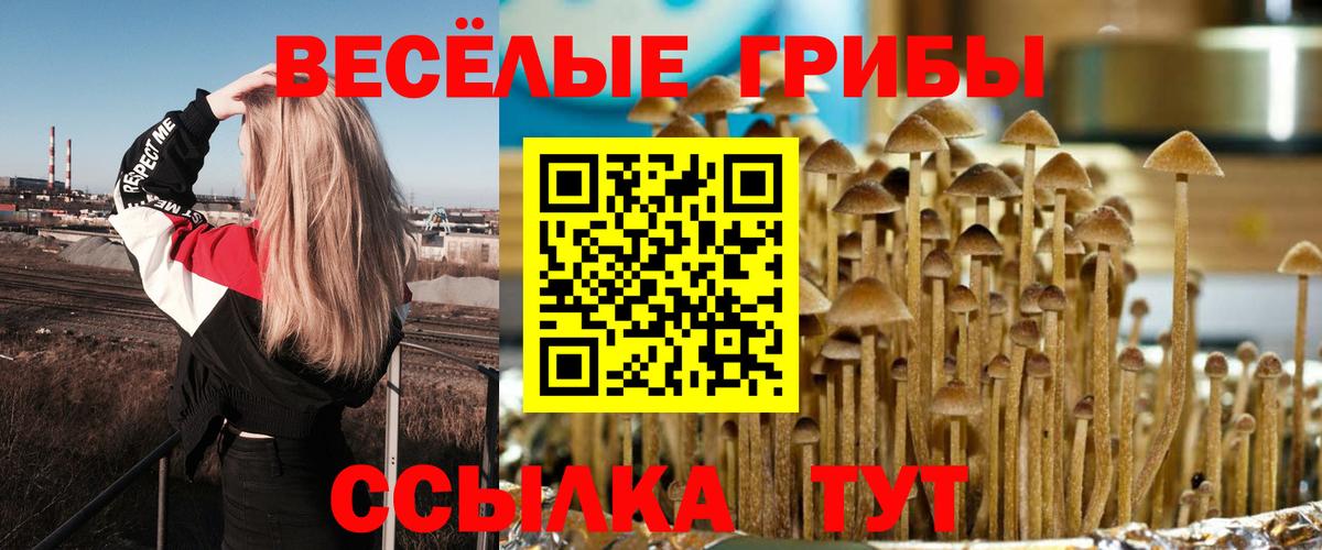Кудымкар  Галлюциногенные грибы прущие грибы  Вход с VPN  Галлюциногенные грибы MAGIC MUSHROOMS 