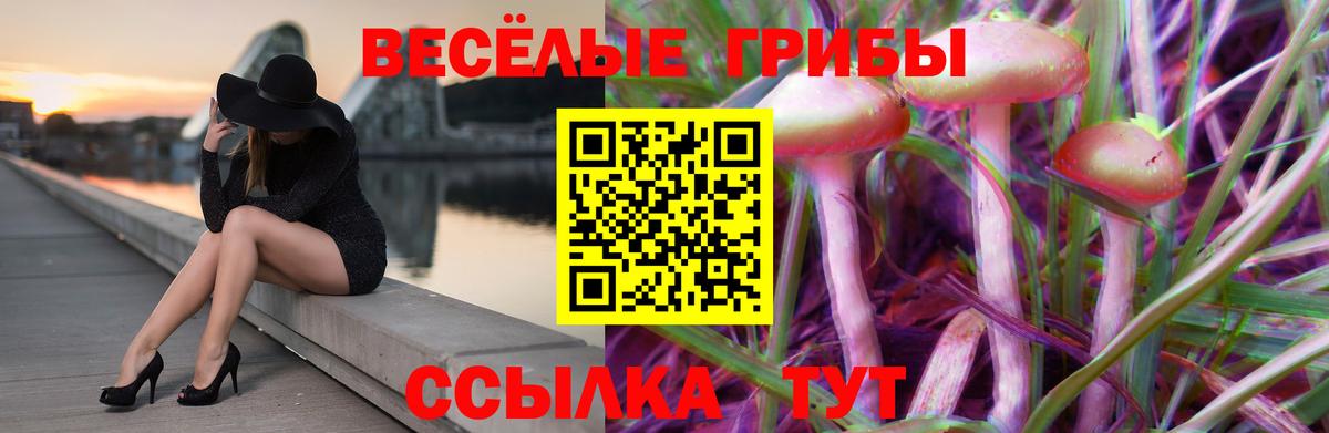 Псилоцибиновые грибы GOLDEN TEACHER Кудымкар